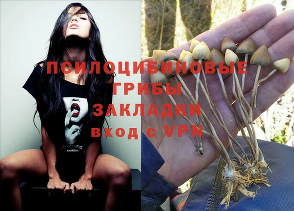 PSILOCYBIN Абдулино