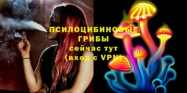 крисы Лагань