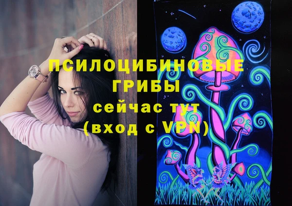 крисы Ладушкин